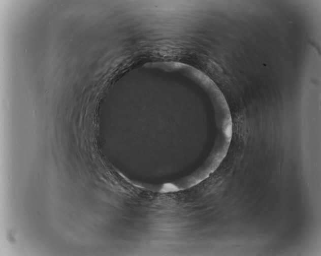 X0000102221009200808221241