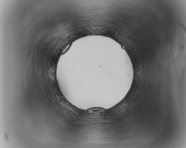 X0000102221010200808221241