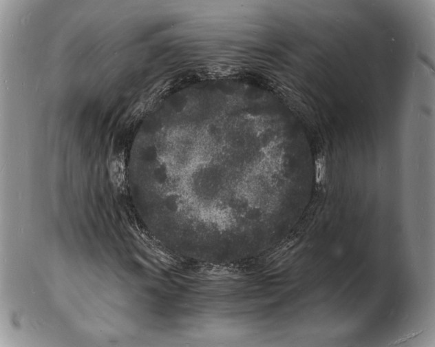 X0000102221011200808221241