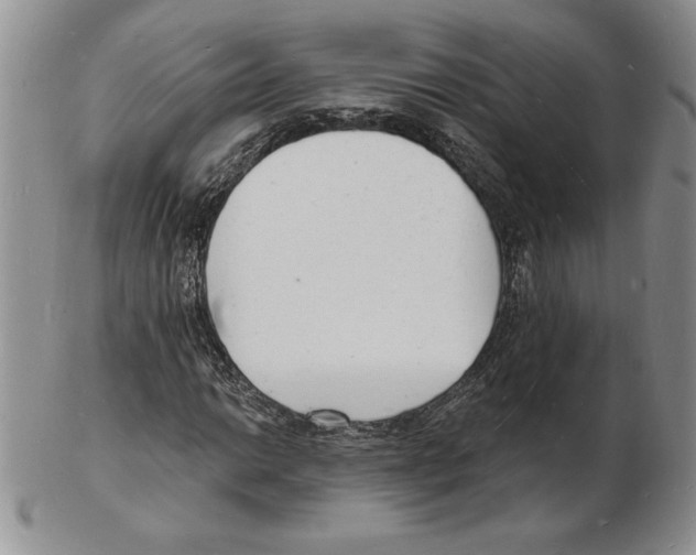 X0000102221014200808221241