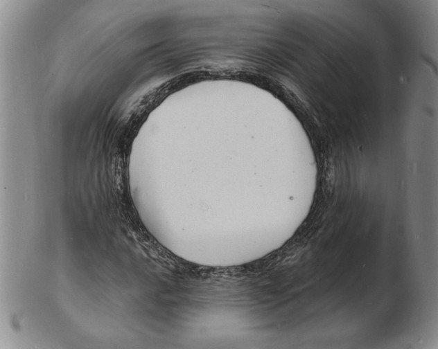 X0000102221016200808221241