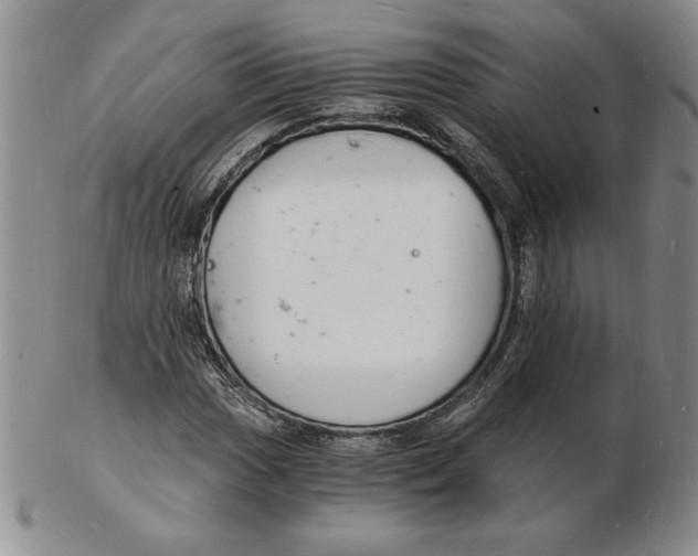 X0000102221017200808221241