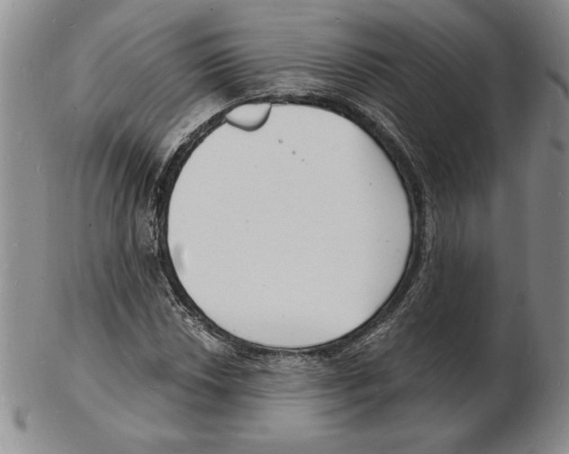 X0000102221018200808221241