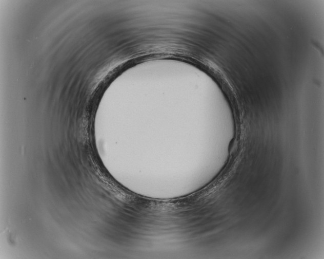 X0000102221019200808221241