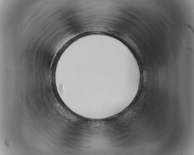 X0000102221020200808221241