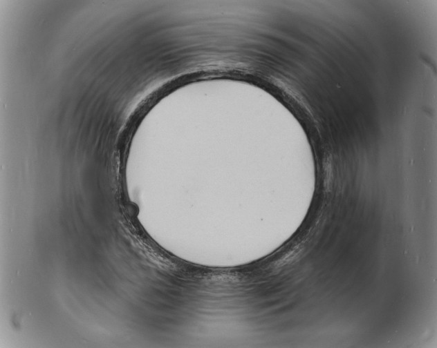 X0000102221021200808221241