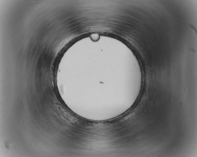 X0000102221022200808221241