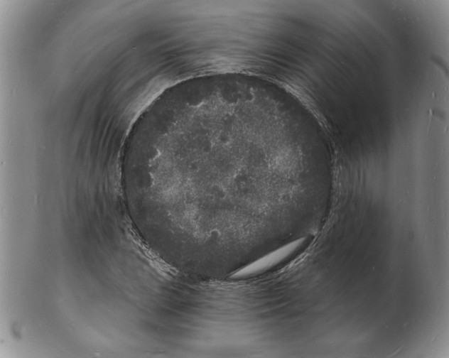 X0000102221023200808221241