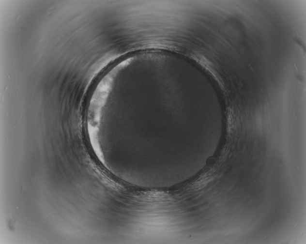 X0000102221024200808221241