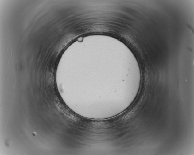 X0000102221025200808221241