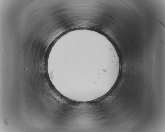 X0000102221026200808221241