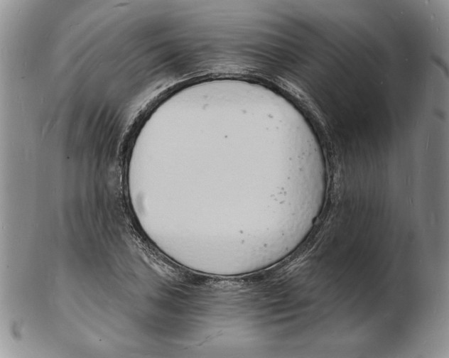 X0000102221027200808221241