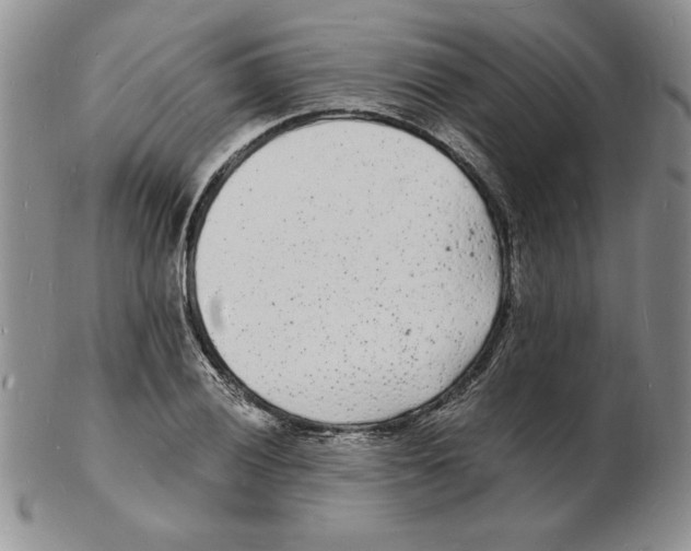 X0000102221028200808221241