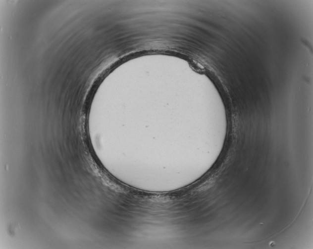 X0000102221029200808221241