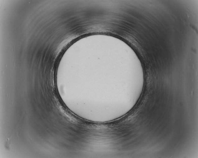 X0000102221030200808221241