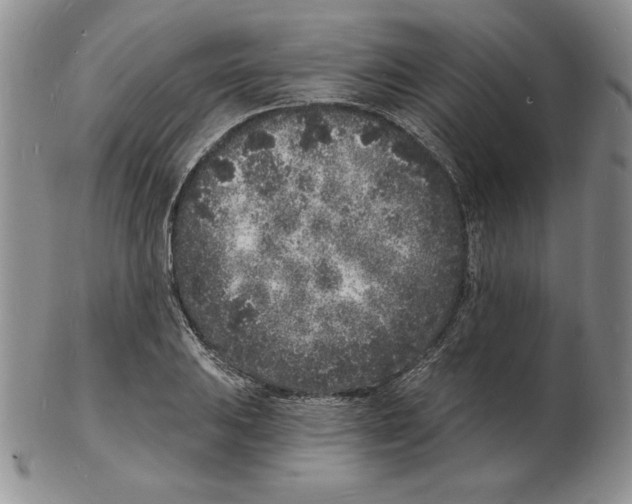 X0000102221031200808221241