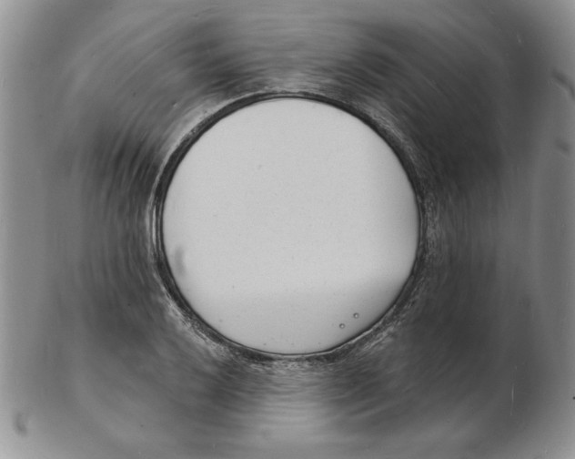 X0000102221032200808221241