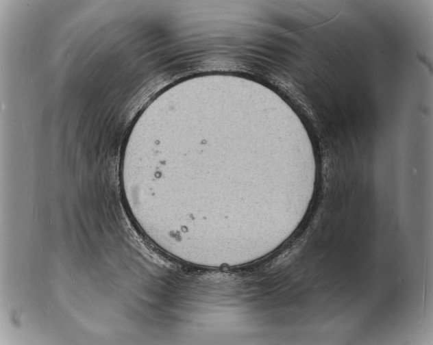 X0000102221033200808221241