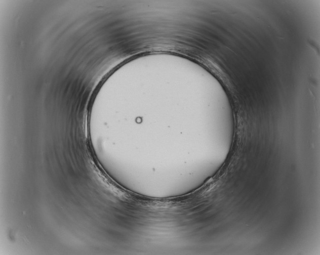 X0000102221036200808221241