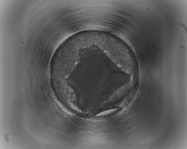 X0000102221037200808221241