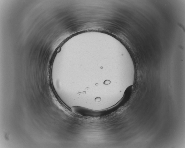 X0000102221038200808221241