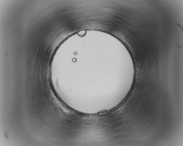 X0000102221040200808221241