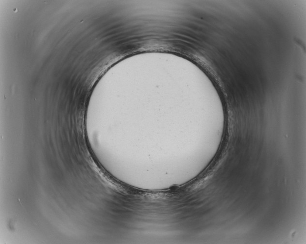 X0000102221041200808221241