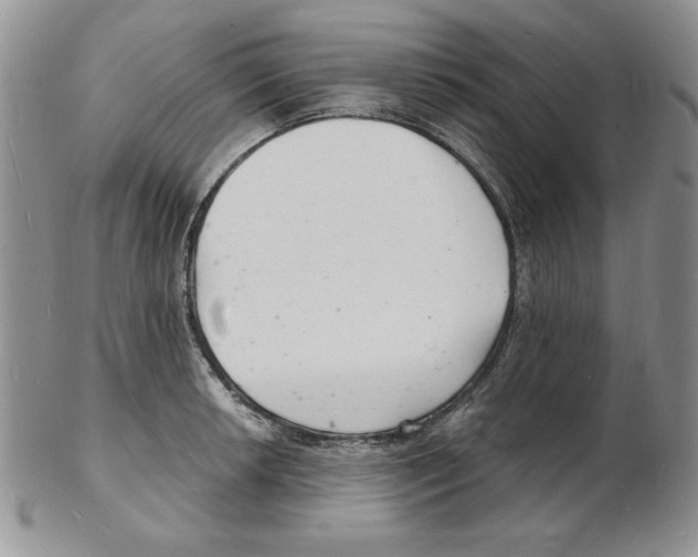 X0000102221042200808221241