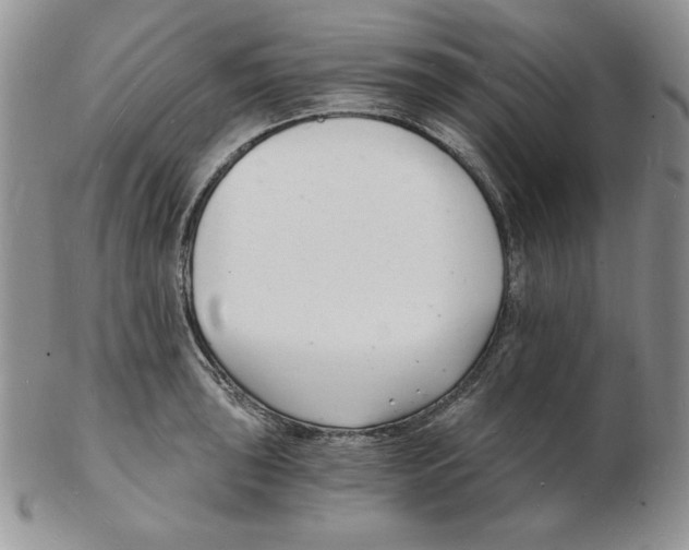 X0000102221043200808221241