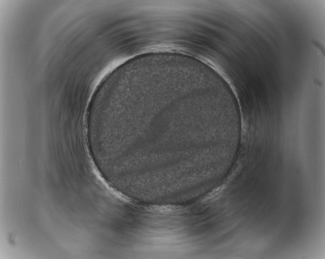 X0000102221045200808221241