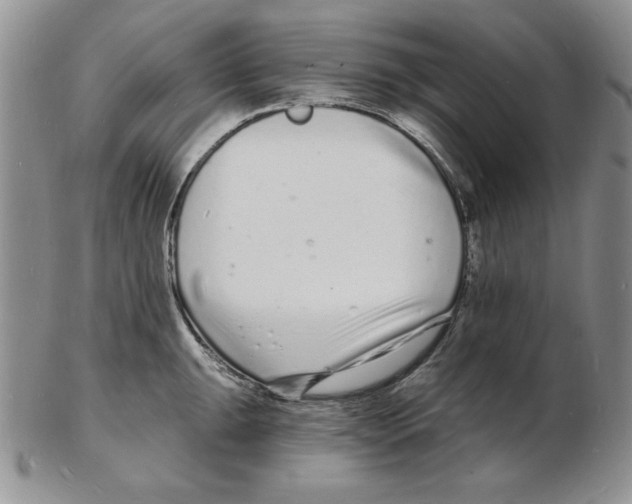 X0000102221047200808221241