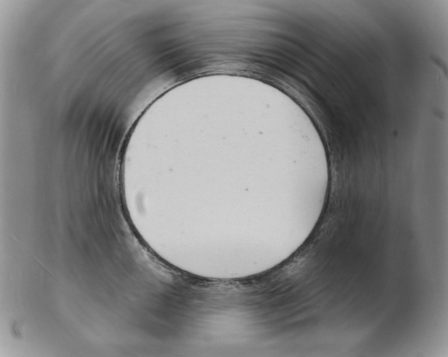 X0000102221050200808221241