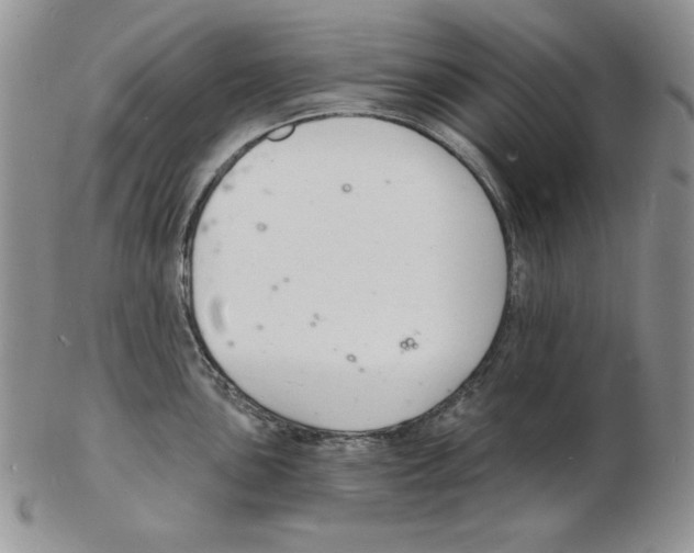 X0000102221051200808221241