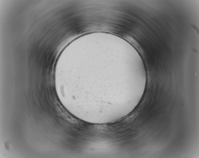 X0000102221052200808221241