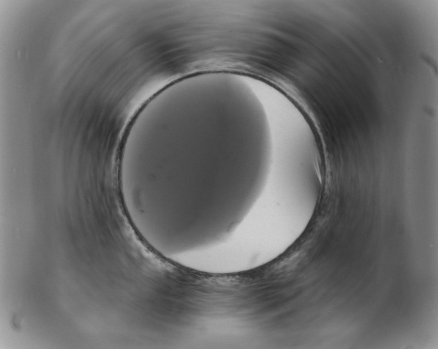 X0000102221053200808221241