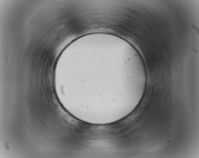 X0000102221054200808221241