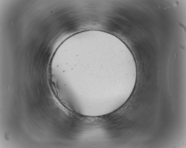 X0000102221056200808221241