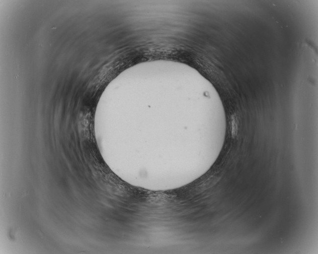 X0000102221059200808221241