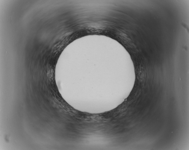 X0000102221061200808221241