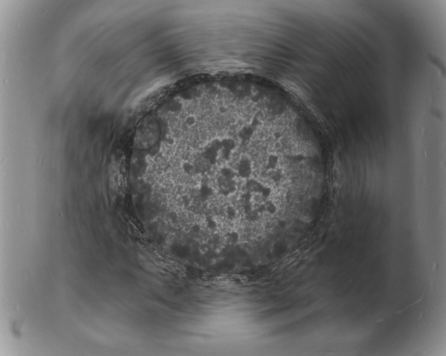 X0000102221063200808221241