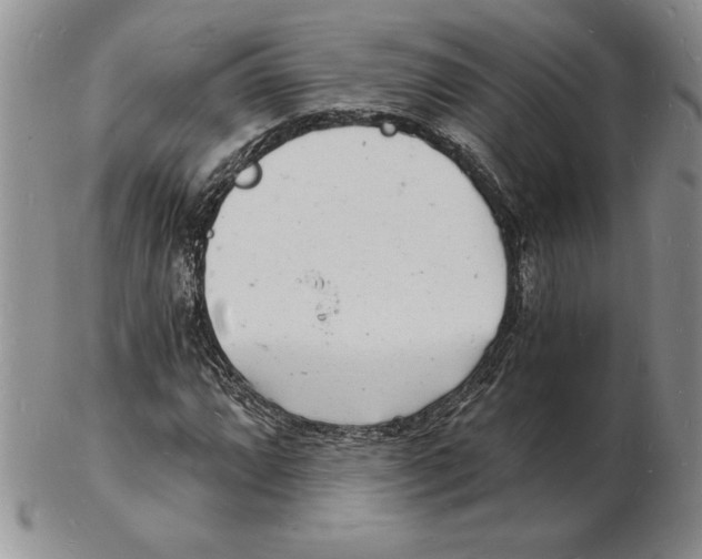 X0000102221064200808221241