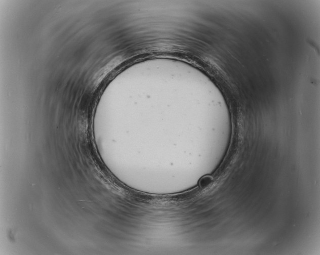 X0000102221065200808221241