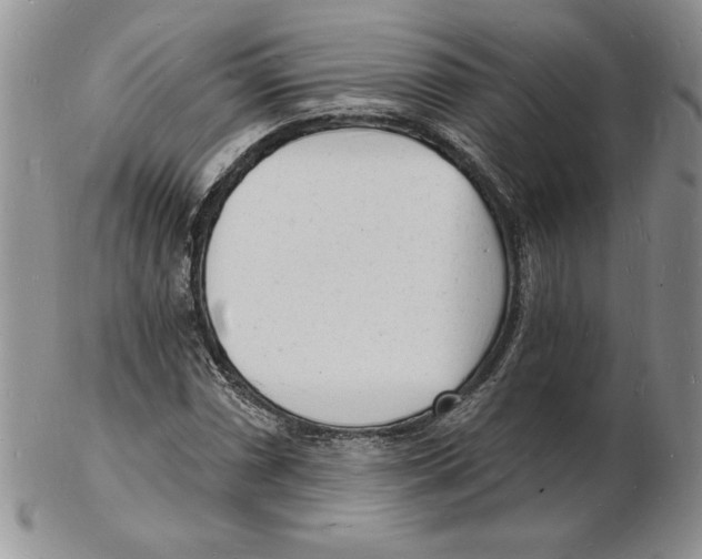 X0000102221066200808221241