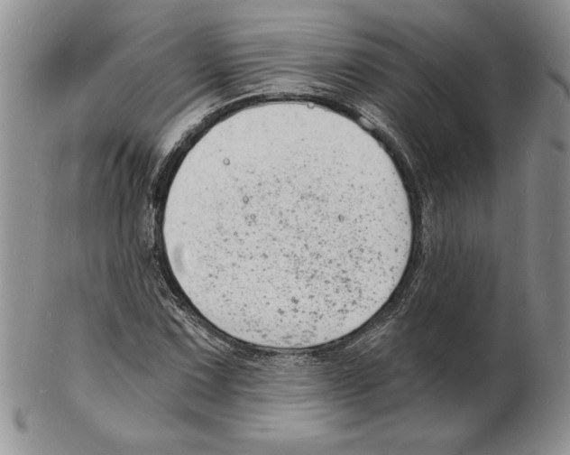 X0000102221067200808221241