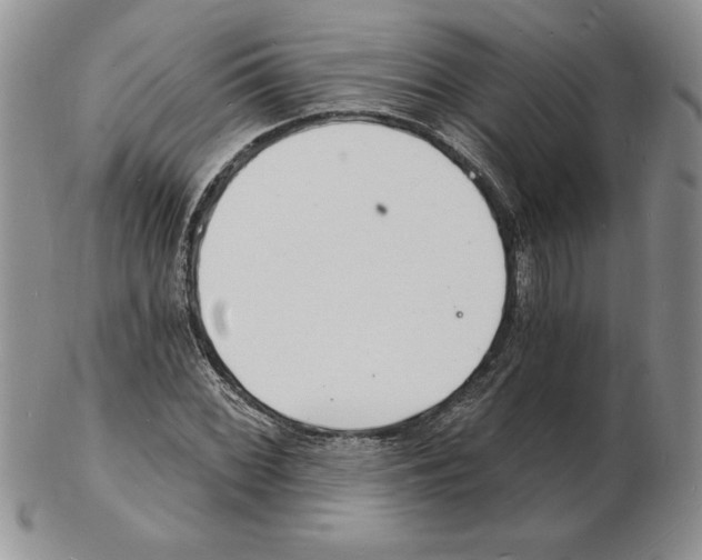 X0000102221068200808221241