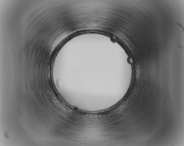 X0000102221069200808221241