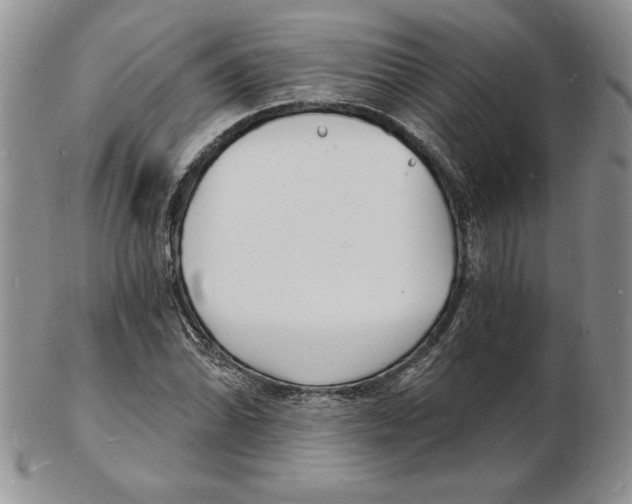 X0000102221070200808221241