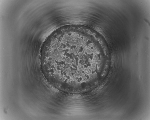 X0000102221071200808221241