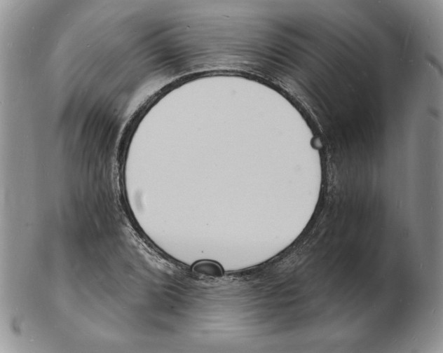 X0000102221072200808221241