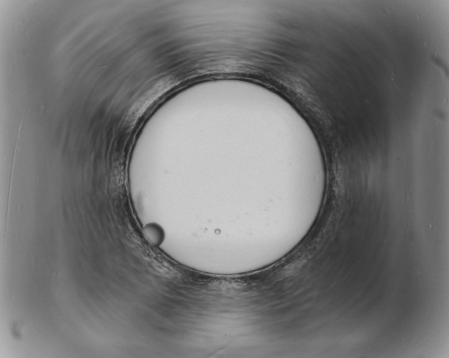 X0000102221073200808221240